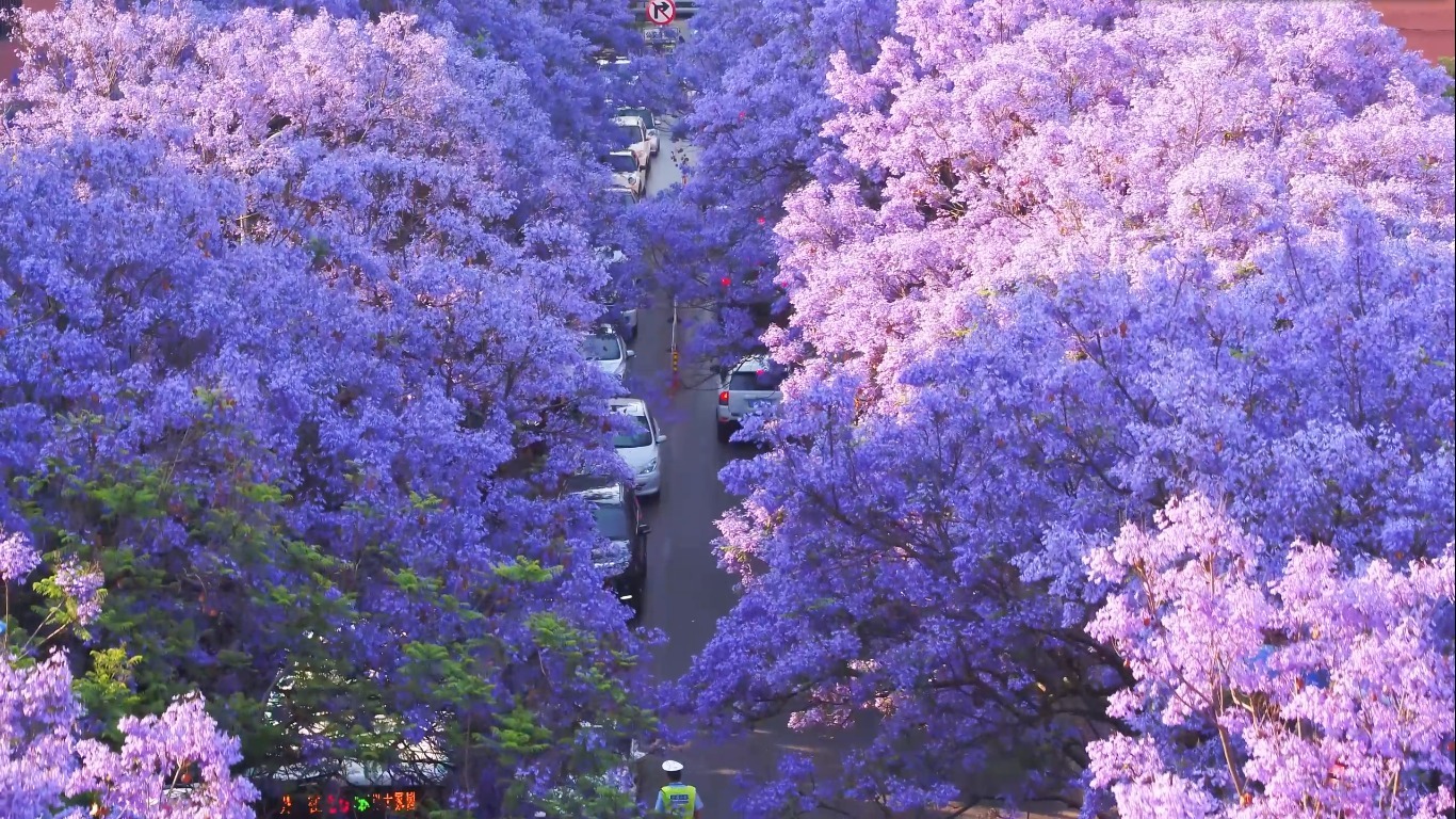 Hành trình Đại Lý - Côn Minh có gì?