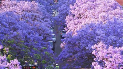 Hành trình Đại Lý - Côn Minh có gì?