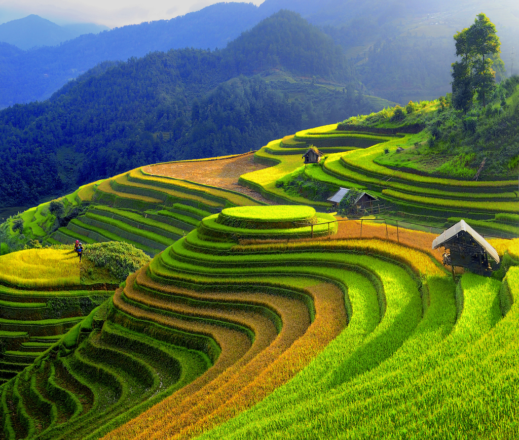 Tour ghép Hải Phòng - Mù Cang Chải 2026