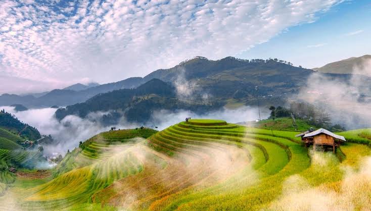 Tour ghép Hải Phòng - Mù Căng Chải - Trạm Tấu