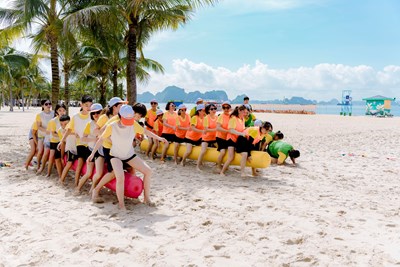 Cùng Bắc Việt tổ chức TeamBuilding Hè 2026